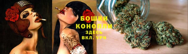 не бодяженный Осташков