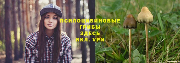 прущий лед Осинники