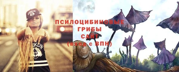 не бодяженный Осташков